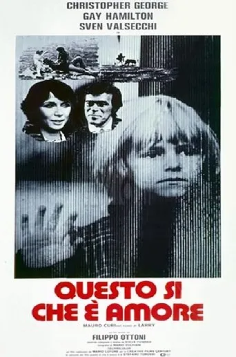 Póster de Questo sì che è amore