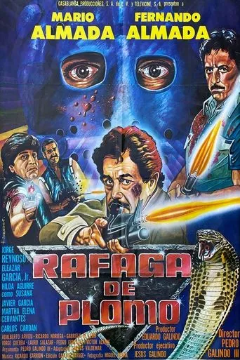 Póster de Rafaga De Plomo