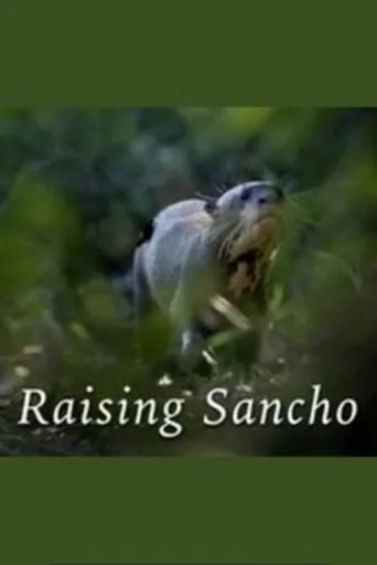 Póster de Raising Sancho