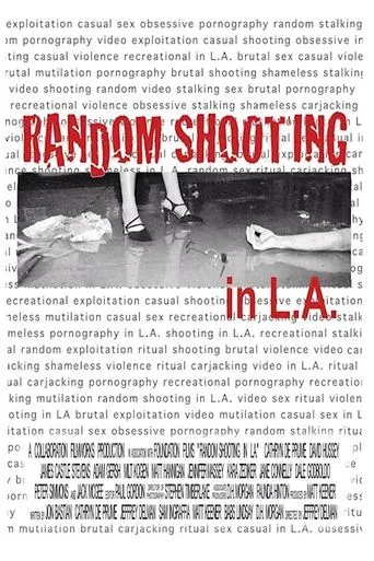 Póster de Random Shooting in LA