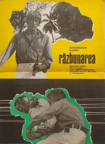 Póster de Razbunarea