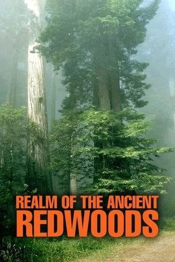 Póster de Realm of the Ancient Redwoods