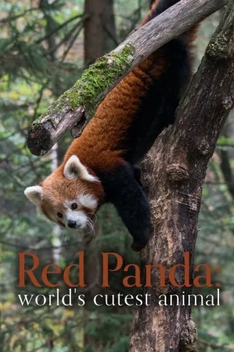 Póster de Red Panda: World's Cutest Animal