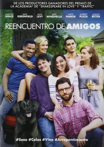 Póster de Reencuentro de amigos (2014) con Aubrey Plaza como Sarah