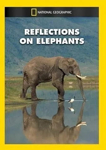 Póster de Reflections on Elephants