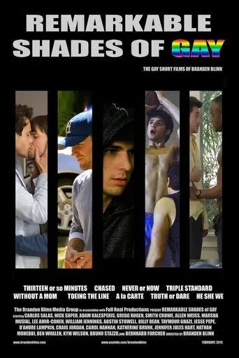 Póster de Remarkable Shades of Gay