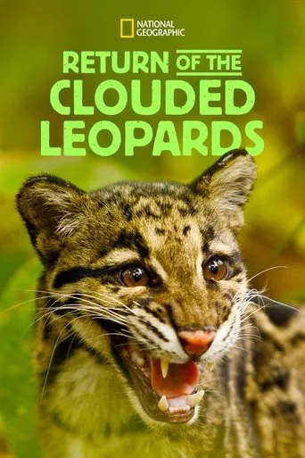 Póster de Return of the Clouded Leopards