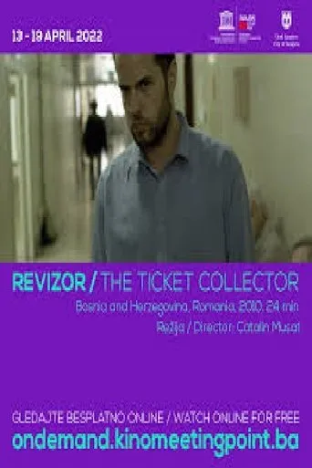 Póster de Revizor