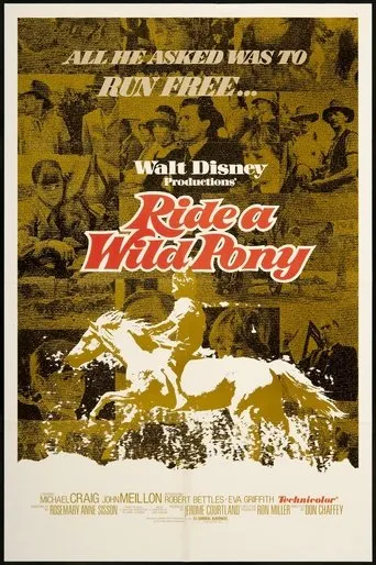 Póster de Ride a Wild Pony