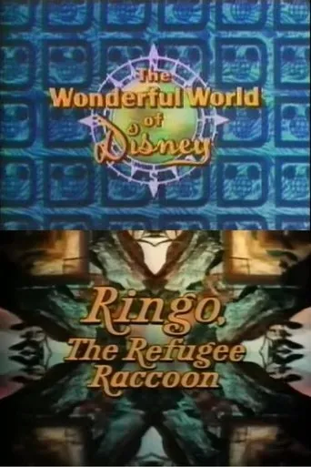 Póster de Ringo, the Refugee Raccoon
