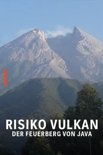 Póster de Risiko Vulkan - Der Feuerberg von Java