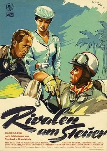 Póster de Rivalen am Steuer