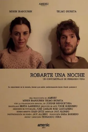 Póster de Robarte una noche