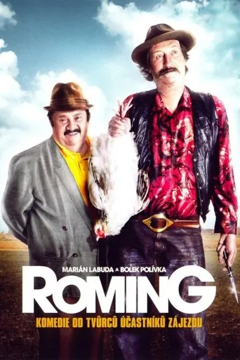 Póster de ROMing