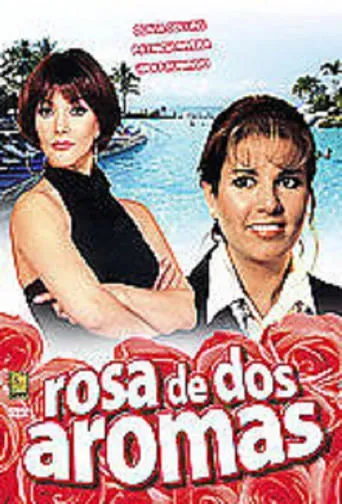 Póster de Rosa de dos aromas