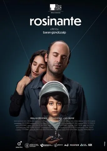 Póster de Rosinante