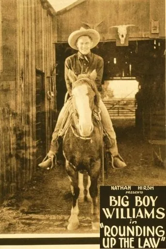 Póster de Rounding Up the Law