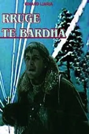 Póster de Rrugë të bardha