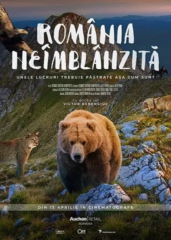 Póster de Rumanía al descubierto
