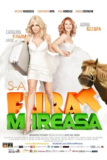 Póster de S-a furat mireasa
