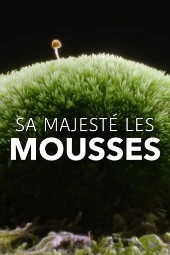 Póster de Sa Majesté les mousses