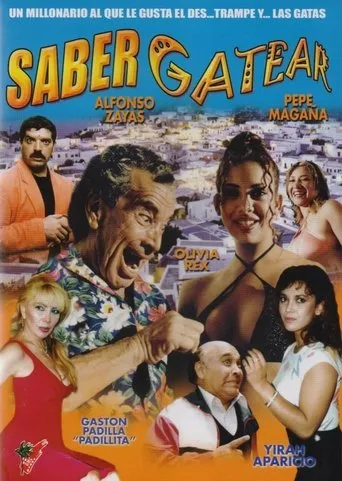 Póster de Saber gatear