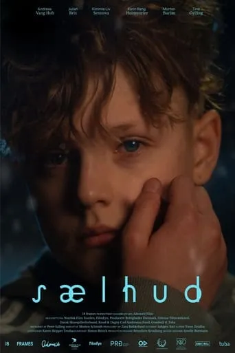 Póster de Sælhud