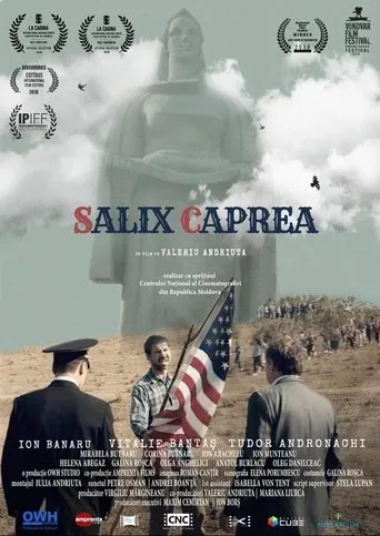 Póster de Salix Caprea