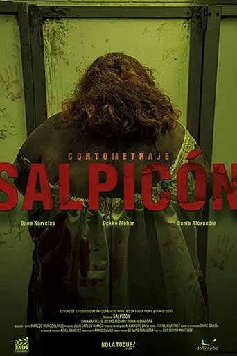 Póster de Salpicón