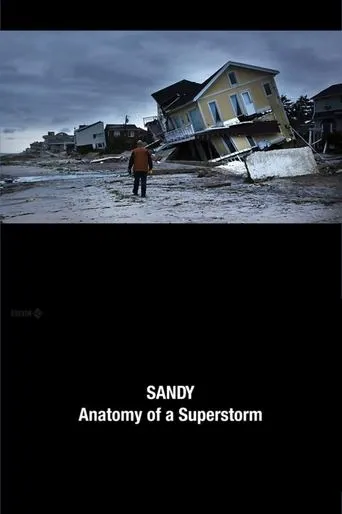 Póster de Sandy: Anatomy of a Superstorm