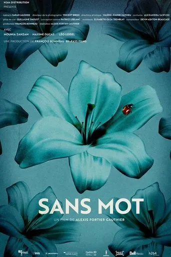 Póster de Sans mot