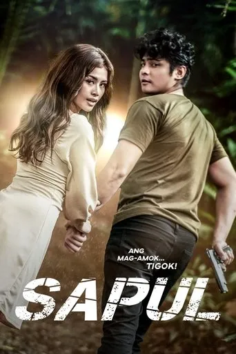 Póster de Sapul