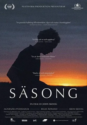 Póster de Säsong