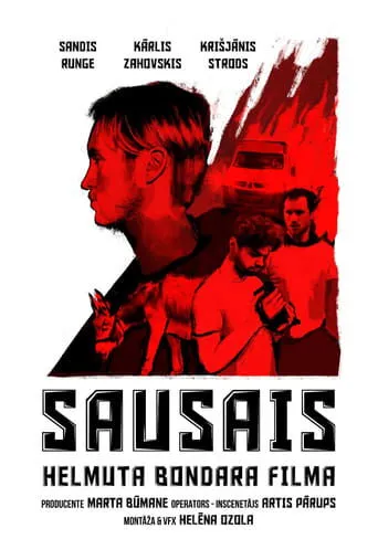 Póster de Sausais