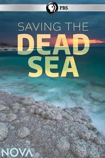 Póster de Saving the Dead Sea