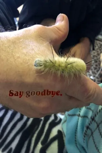 Póster de Say Goodbye