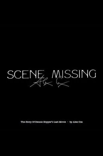 Póster de Scene Missing