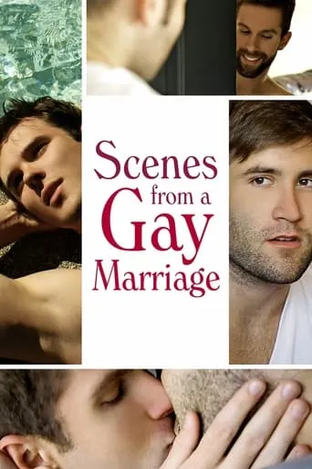 Póster de Scenes from a Gay Marriage