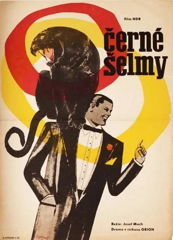 Póster de Schwarze Panther