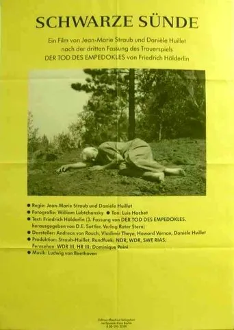 Póster de Schwarze Sünde