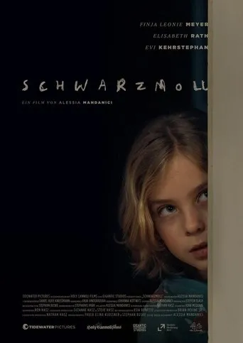 Póster de Schwarzmoll