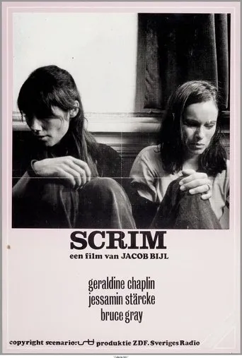 Póster de Scrim
