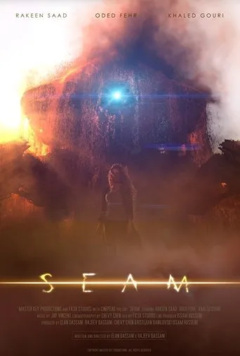 Póster de Seam
