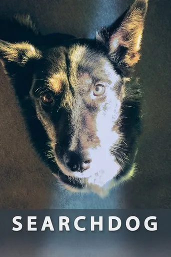 Póster de Searchdog