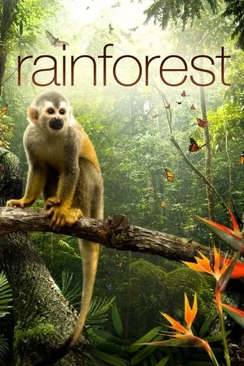 Póster de Secret Life of the Rainforest