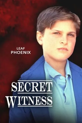 Póster de Secret Witness