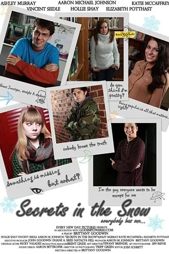 Póster de Secrets in the Snow