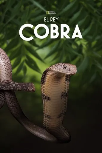 Póster de Secrets of the King Cobra
