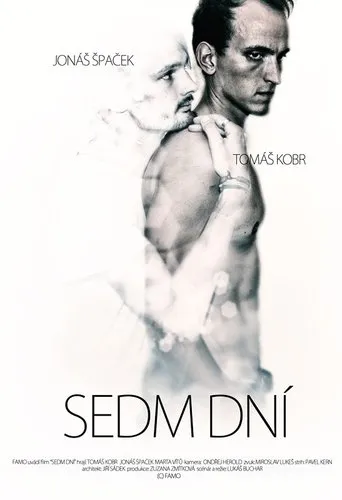 Póster de Sedm dní