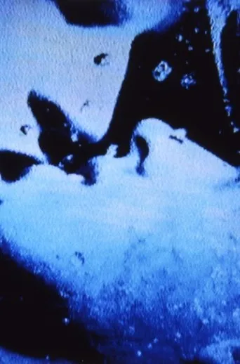 Póster de Self-Portrait in 23 Rounds: a Chapter in David Wojnarowicz’s Life, 1989–1991